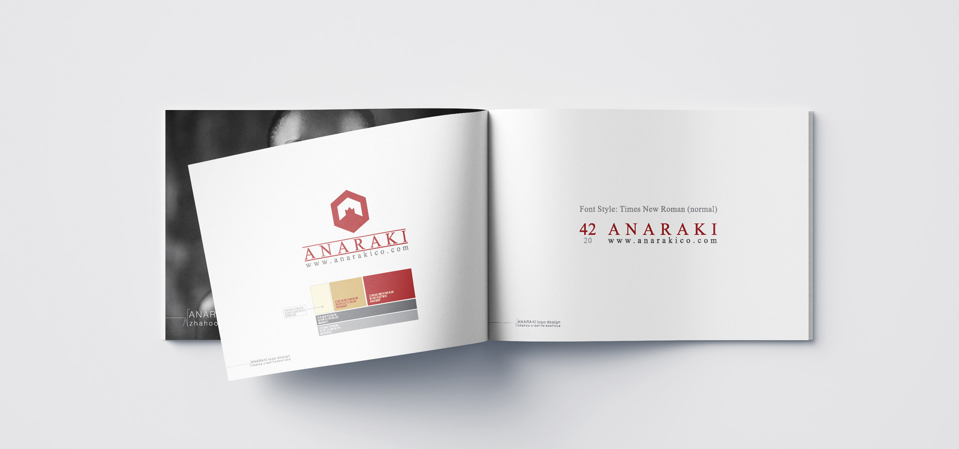 Anaraki Brandbook Design - Color palette